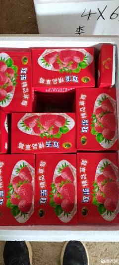 [蒙特瑞蒙特瑞草莓 云南省会泽县,金鑫草莓种植,基地直销,发往全国价格5盒